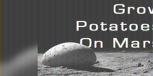 Cover image for Martian Potato