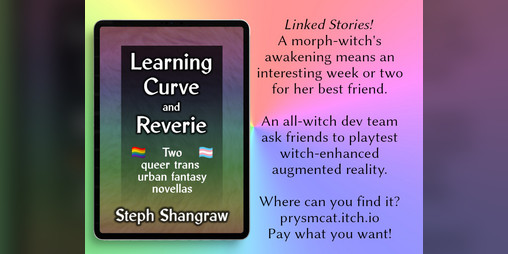 Cover image for Learning Curve & Reverie