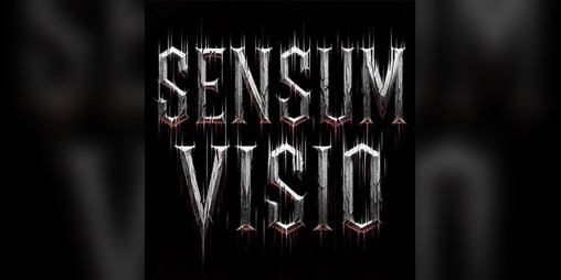Cover image for Sensum Visio