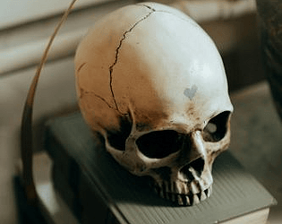 My Writing Process Game