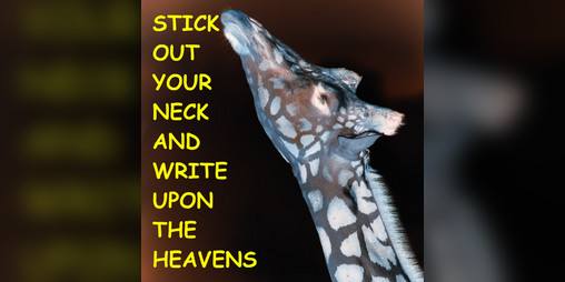 Cover image for Stick Out Your Neck And Write Upon The Heavens