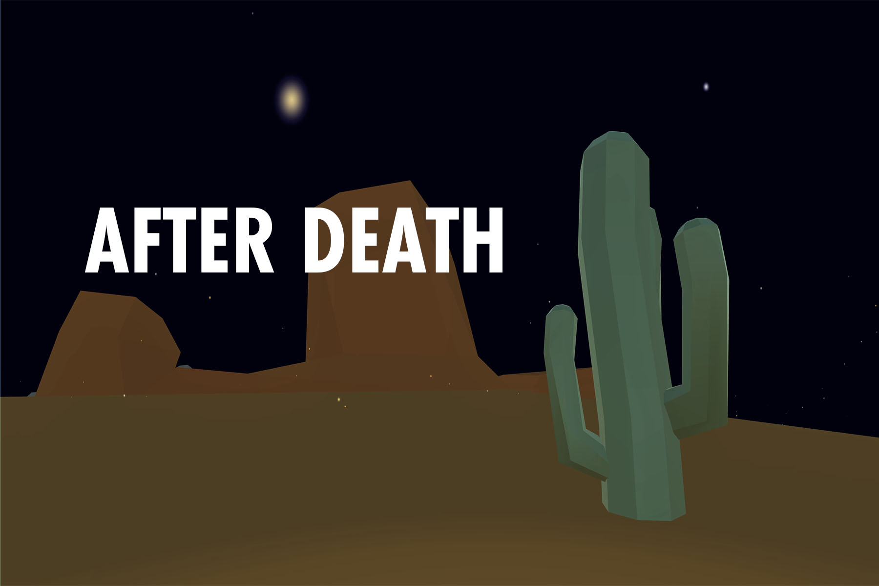 Cover image for AFTER DEATH