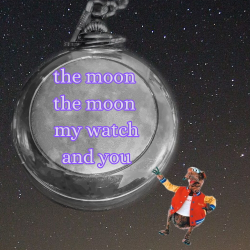 Cover image for the moon the moon my watch and you