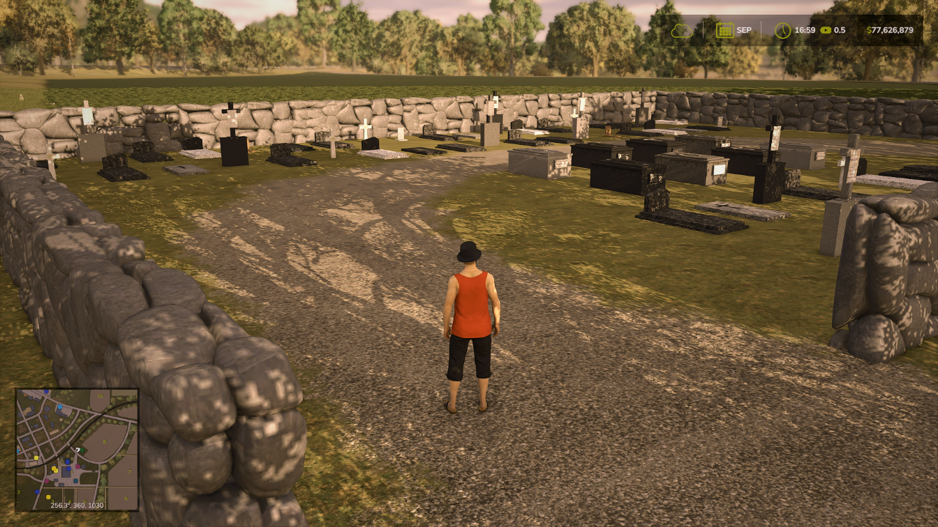 Cover image for ACH25 Cemetery