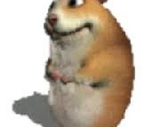 Click chomik