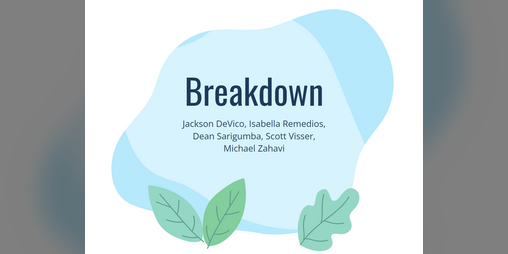 Cover image for Breakdown