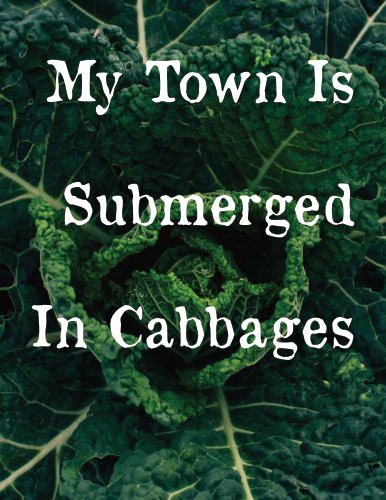 Cover image for My Town Is Submerged In Cabbages