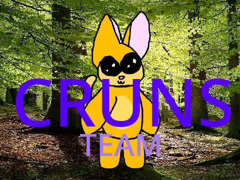 Cover image for Cruns Team
