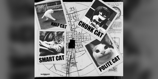 Cover image for Feline Dream-O-Naughts