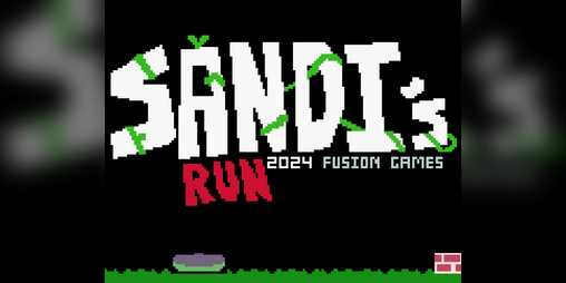 Cover image for Sandi's Run