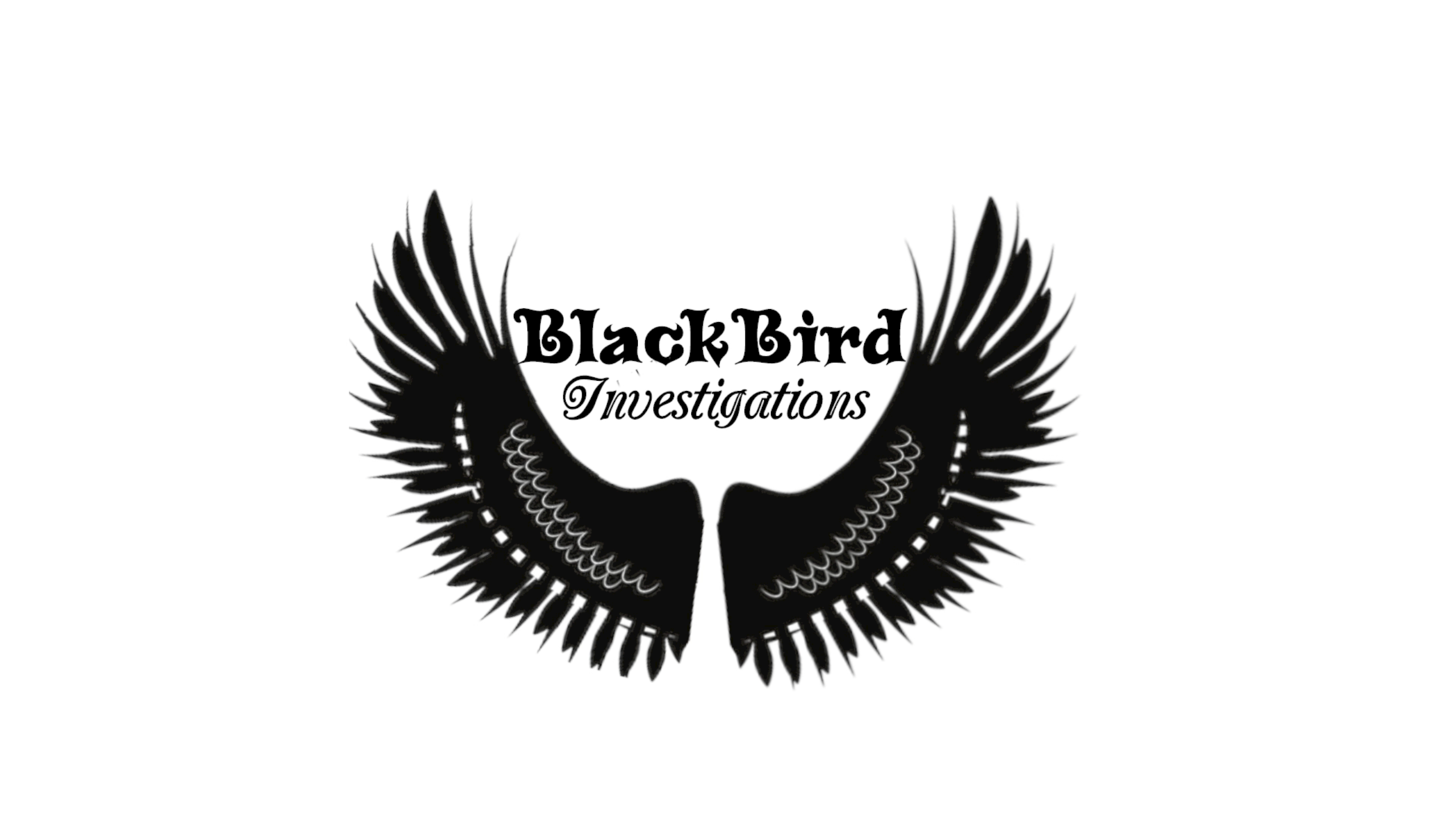 BlackBird Investigation