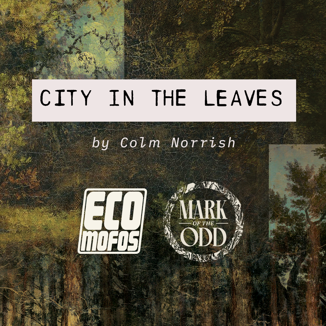 Cover image for City in the Leaves