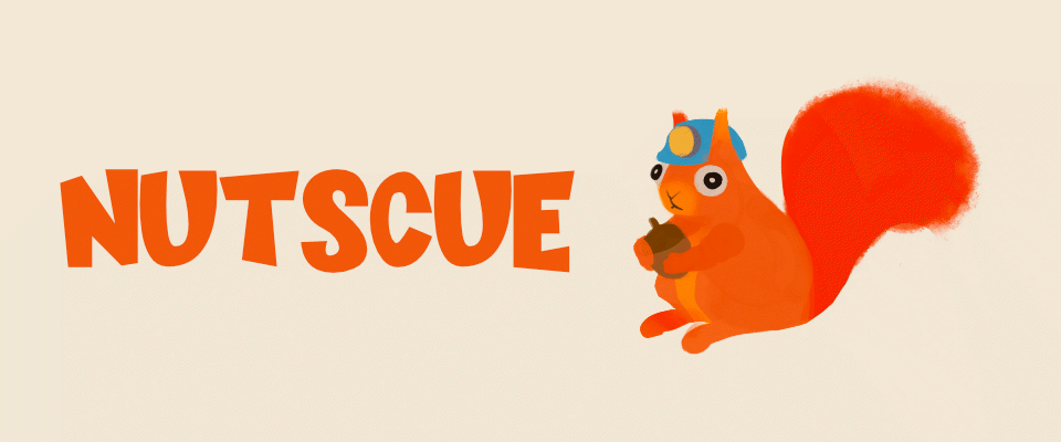 Project - Nutscue