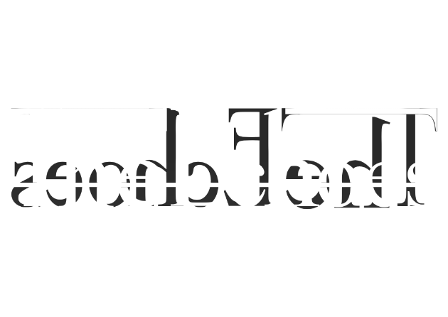 Cover image for The Echoes