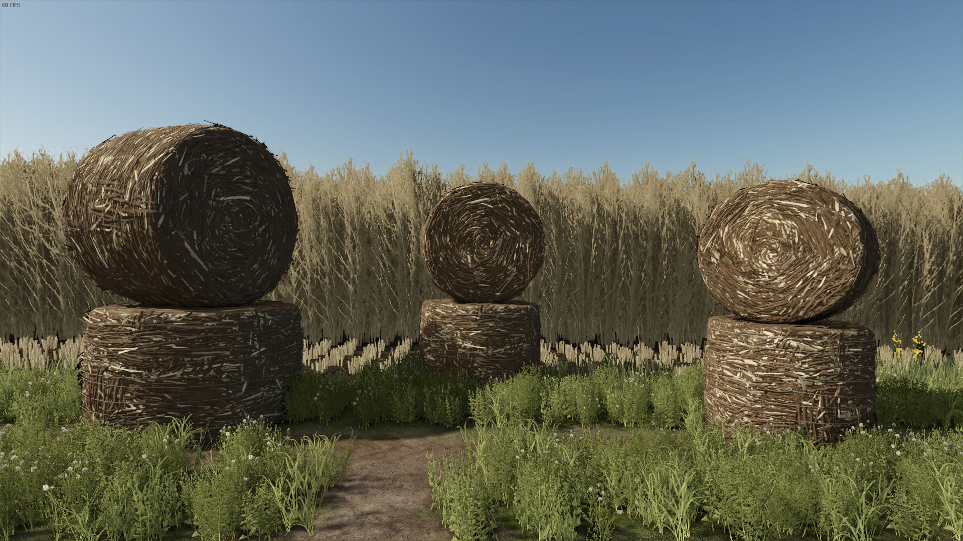 Cover image for Bigger Biobales