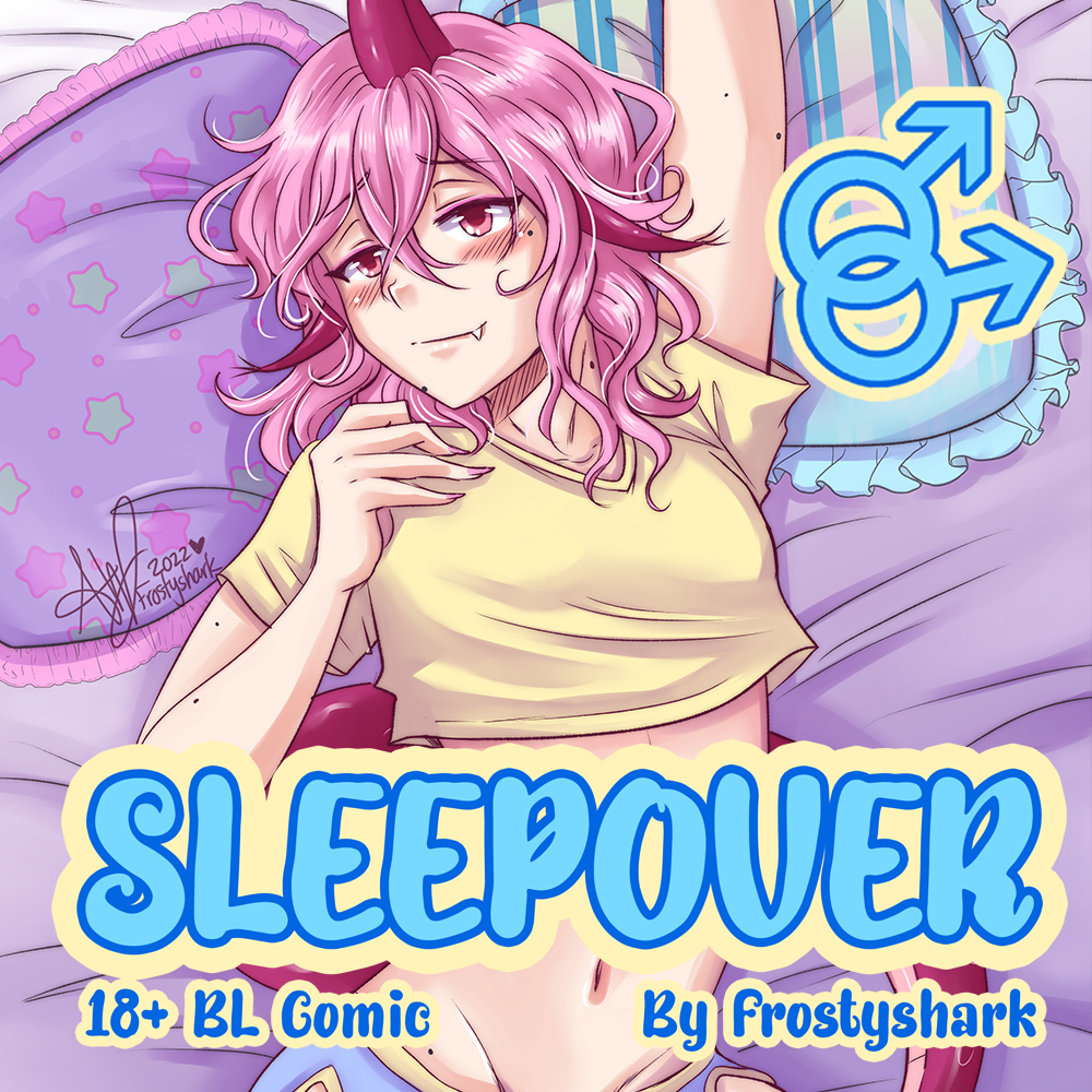 Cover image for Sleepover