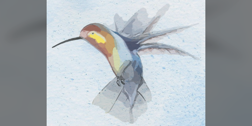 Cover image for An Afternoon at Home