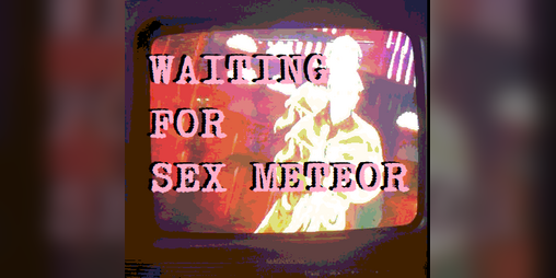 Cover image for WAITING FOR SEX METEOR