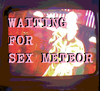Cover image for WAITING FOR SEX METEOR