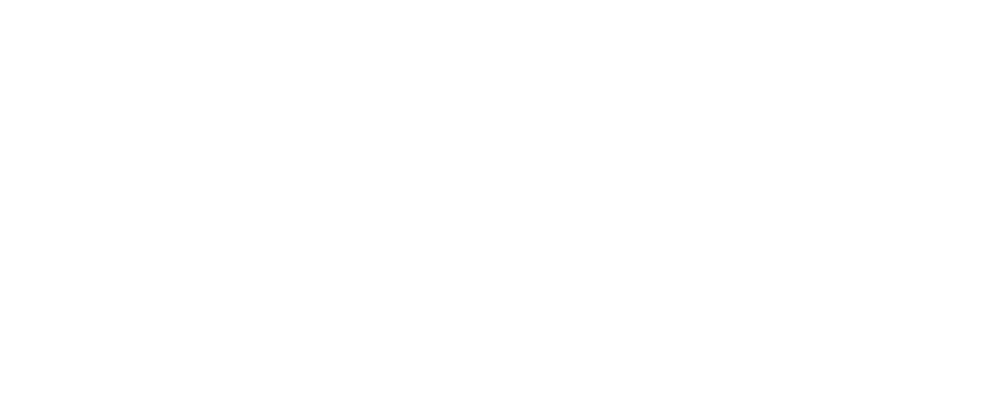 The Protocol Directive