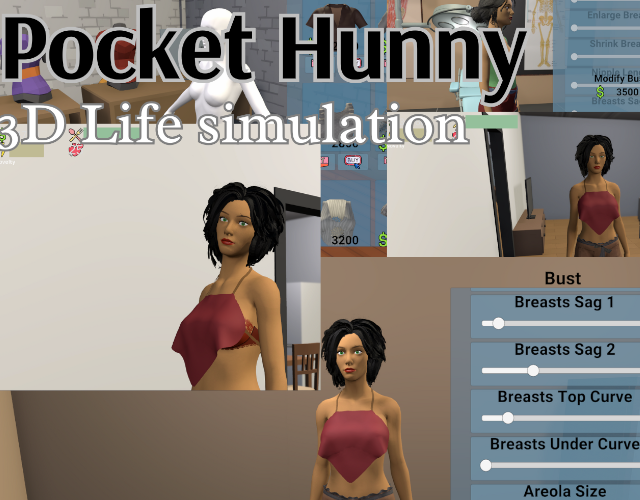 Cover image for Pocket Hunny