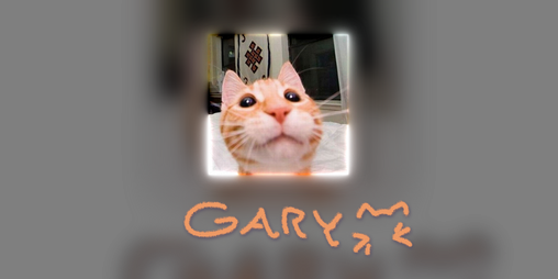 Cover image for gary
