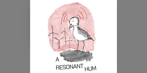 Cover image for A Resonant Hum