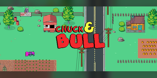 Cover image for Chuck & Bull