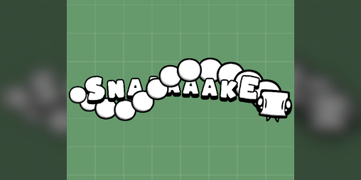 Cover image for Snaaaaake