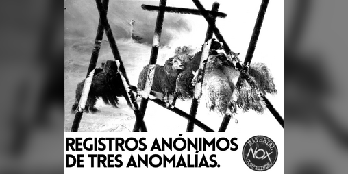 Cover image for Registros Anónimos de Tres Anomalías - Nox Maledictus