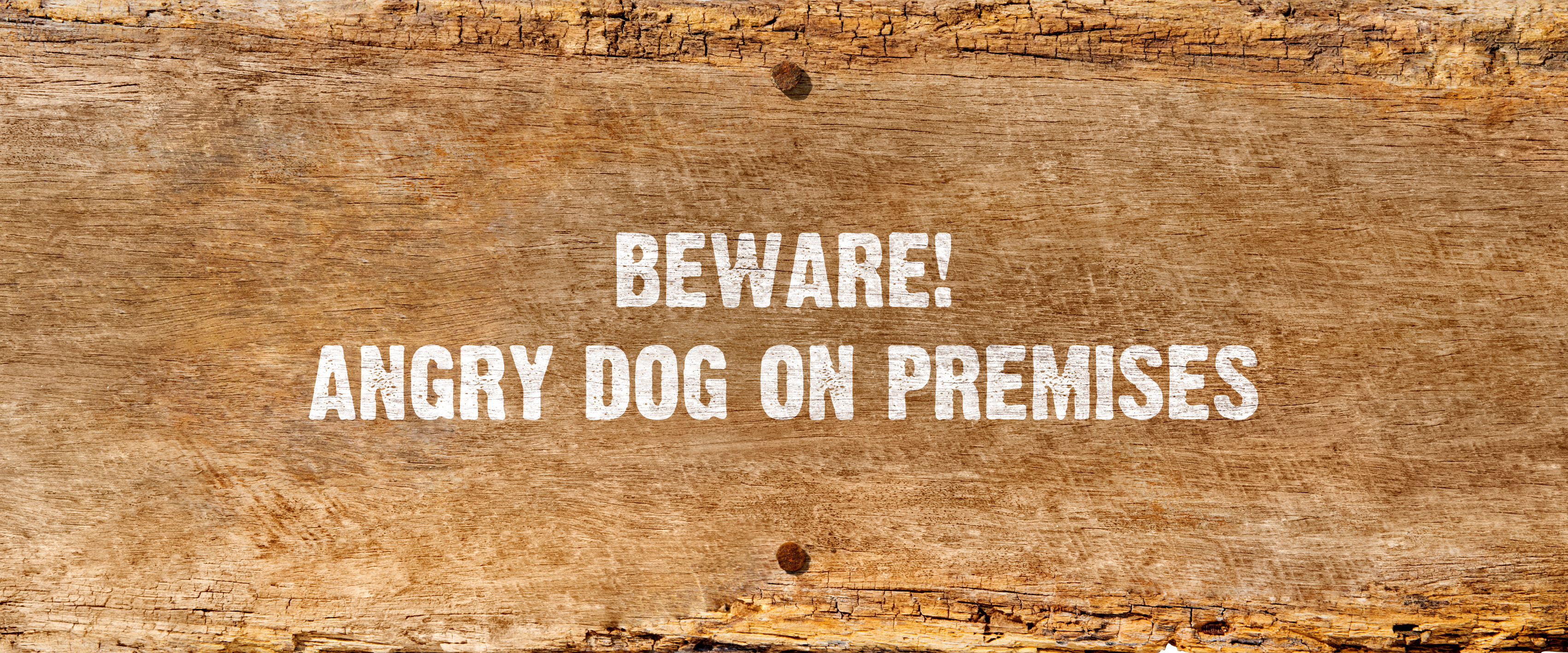 BEWARE! ANGRY DOG