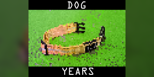 Cover image for DOG YEARS