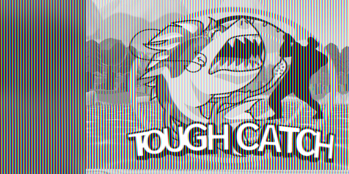 Cover image for Tough Catch