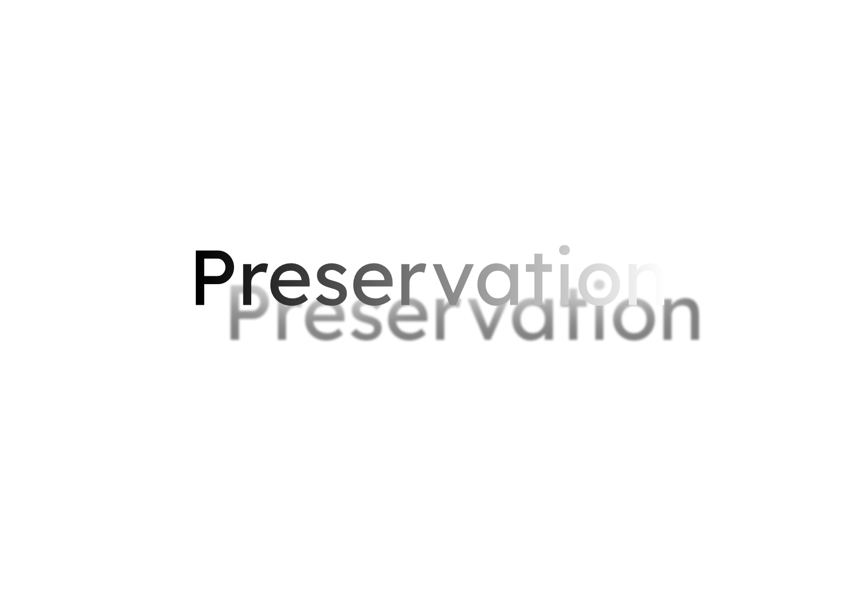 Cover image for Preservation