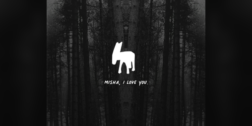 Cover image for Misha, I love you.