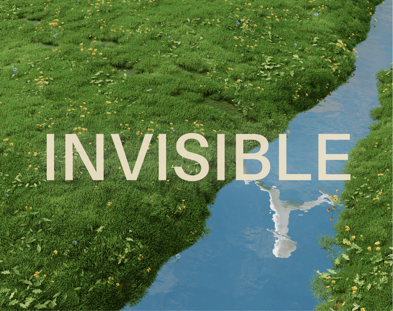 Cover image for Invisible