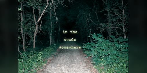Cover image for In The Woods Somewhere