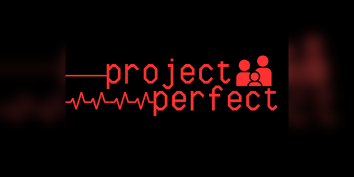 Cover image for project perfect