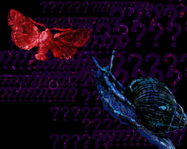 Cover image for How to Make Snails Fly