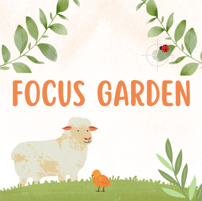 Focus Garden