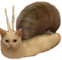 Snailcat Studios