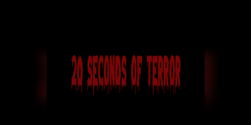 Cover image for 20 Seconds of Terror