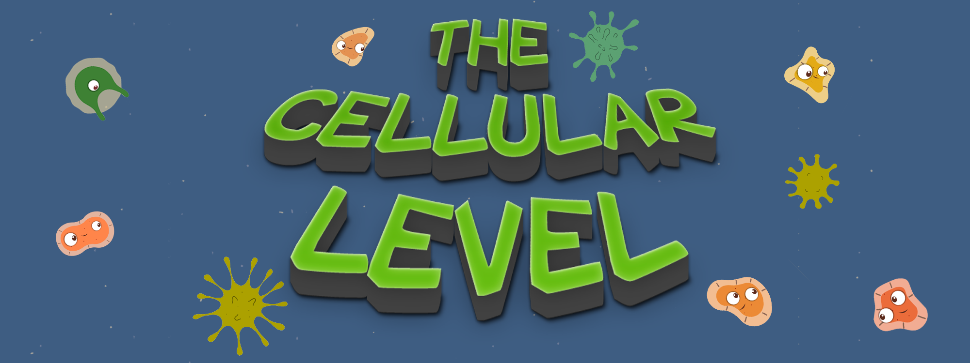 The Cellular Level