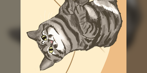 Cover image for Cattarat