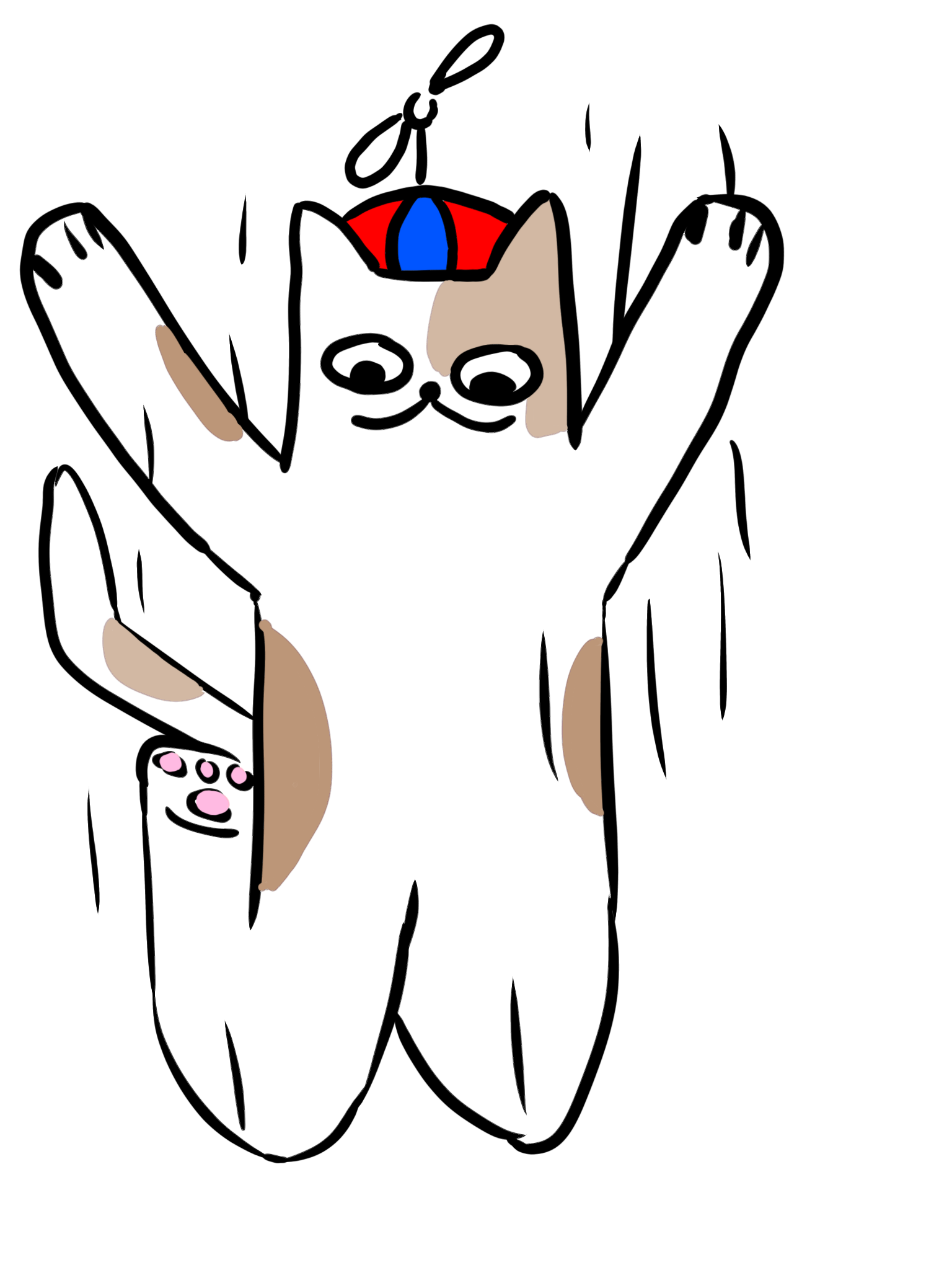 el flipante gato saltarin