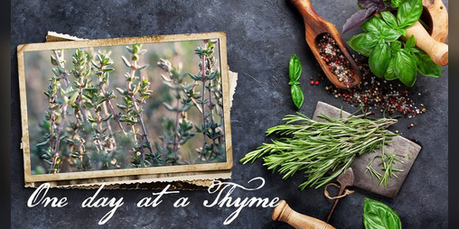 Cover image for One day at a thyme, traducción castellano