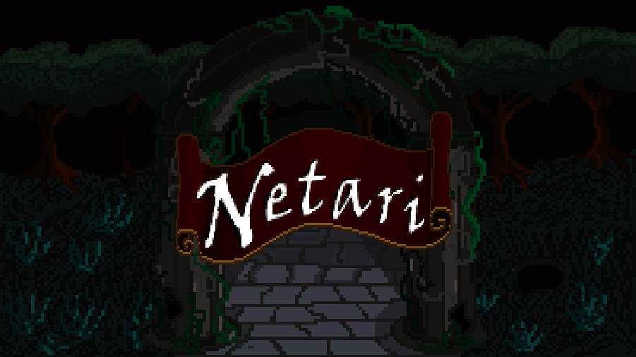 Cover image for Netari Demo