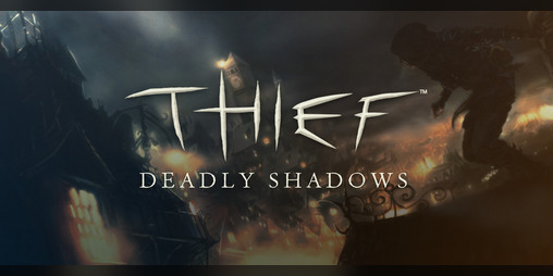 Cover image for Thief shadow