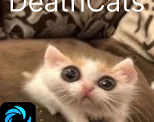 Deathcats