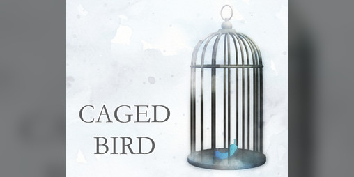 Cover image for Caged Bird